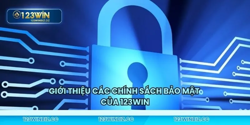 Tìm hiểu chi tiết các chính sách bảo mật của đơn vị