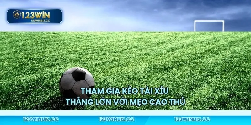 Thắng lớn khi chơi với mẹo cao thủ