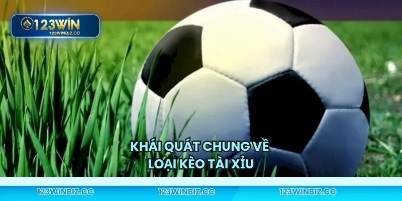 Hiểu đúng nhất về loại kèo tài xỉu
