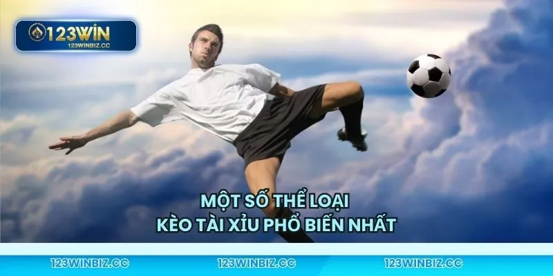 Những loại phổ biến nhất