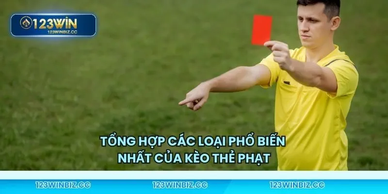 Một vài loại phổ biến nhất của cược thẻ phạt